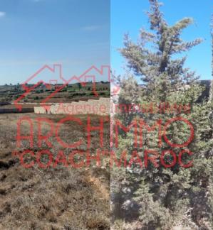 image de propriété - Terrain constructible à la campagne