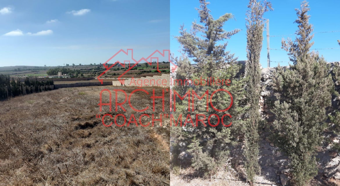 Photo de la propriété 5