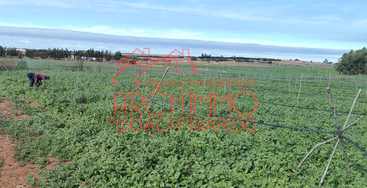 Photo de la propriété 0