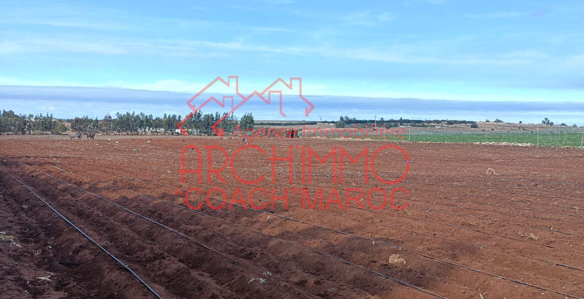 Photo de la propriété 1