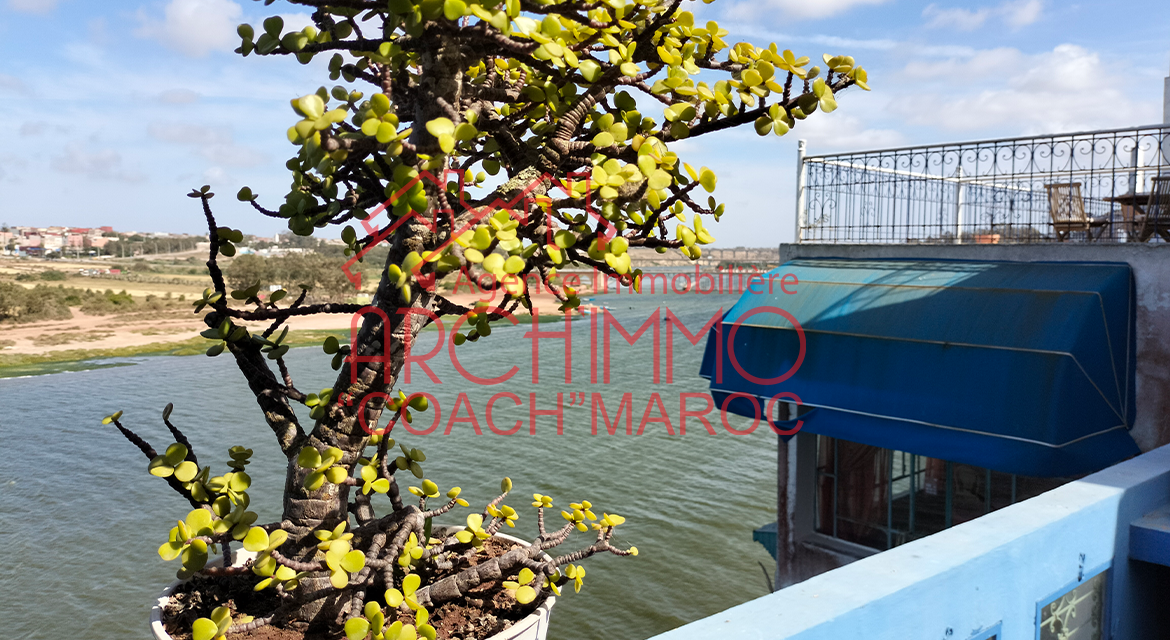 Photo de la propriété 12