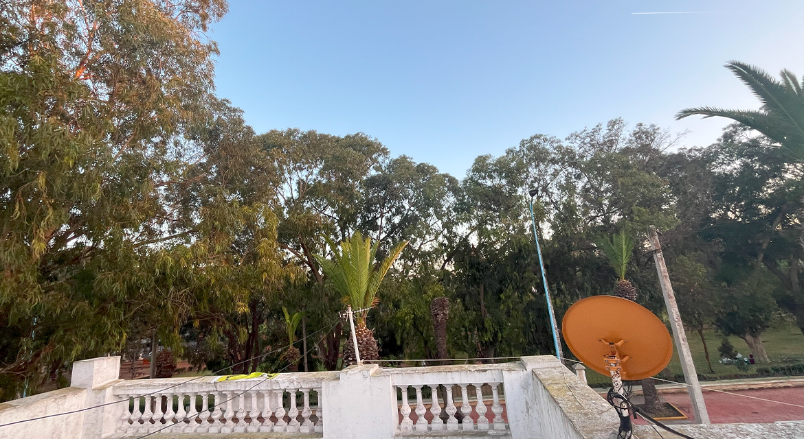 Photo de la propriété 7