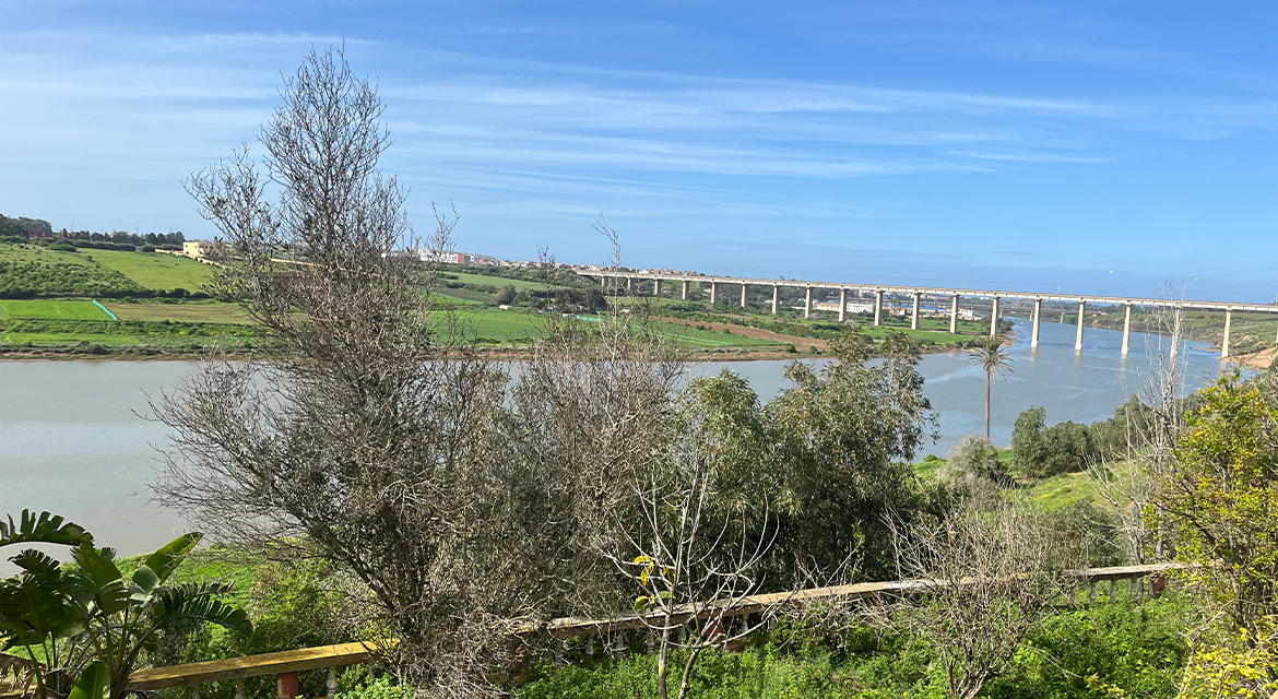 Photo de la propriété 1