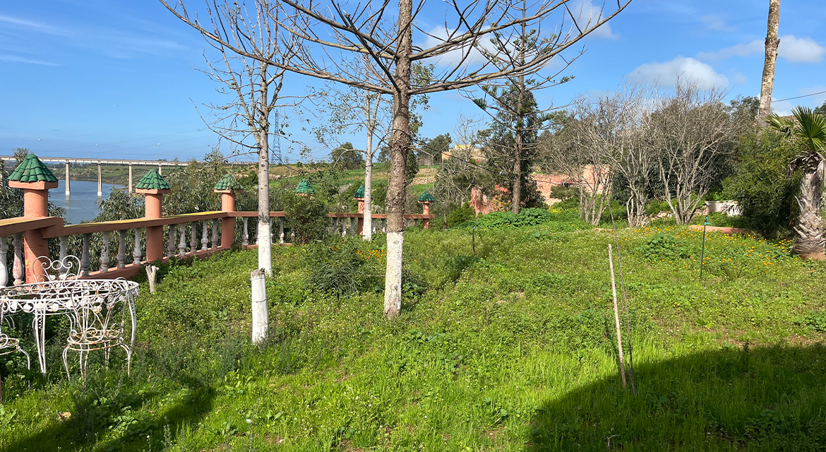 Photo de la propriété 3