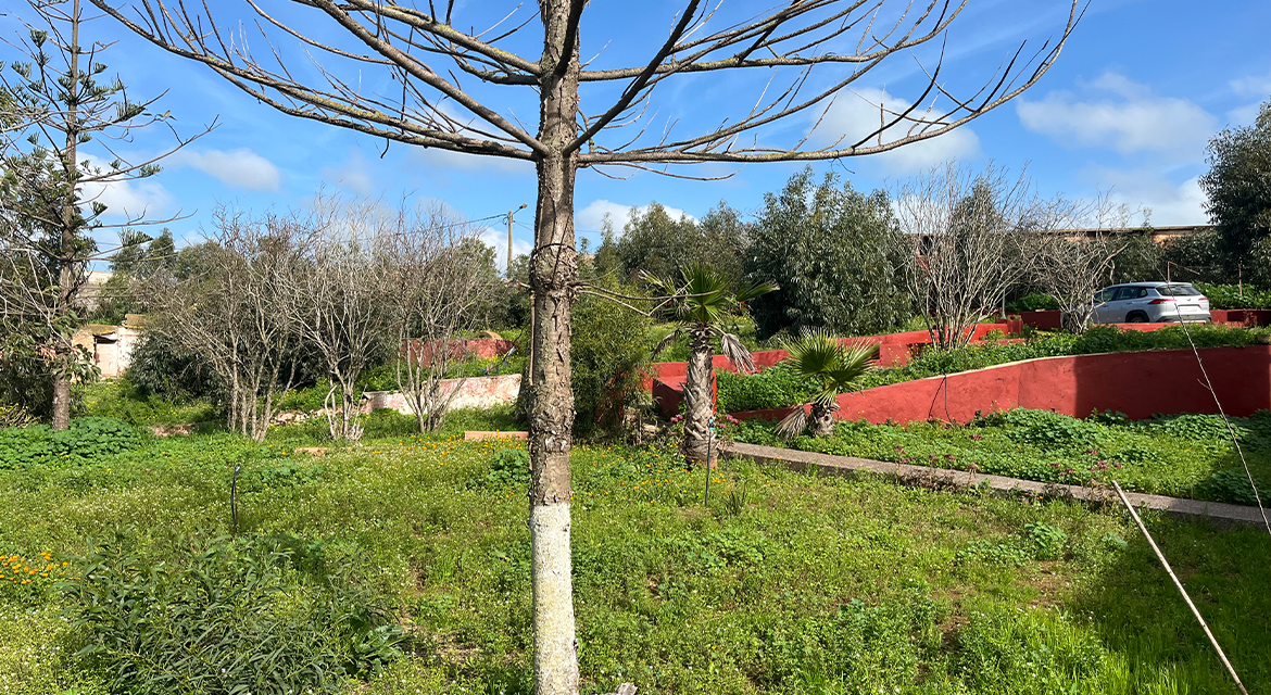 Photo de la propriété 8