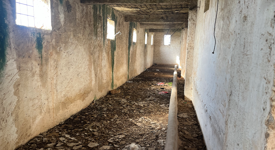 Photo de la propriété 14