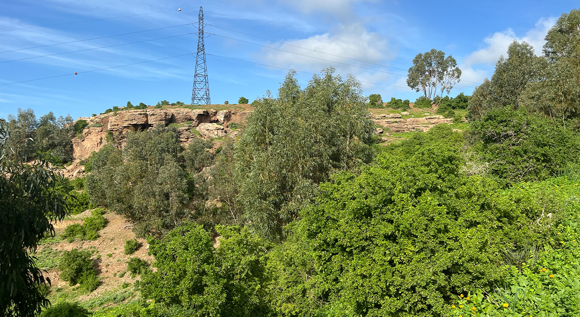 Photo de la propriété 15